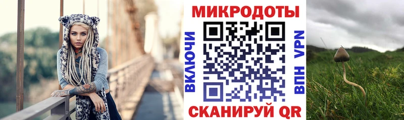 Псилоцибиновые грибы Psilocybe  где найти наркотики  Александров 